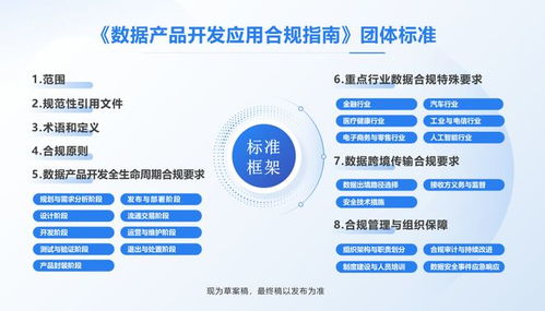 全國首部數(shù)據(jù)產(chǎn)品開發(fā)應用合規(guī)標準即將出臺，信息技術(shù)咨詢服務助力企業(yè)合規(guī)轉(zhuǎn)型