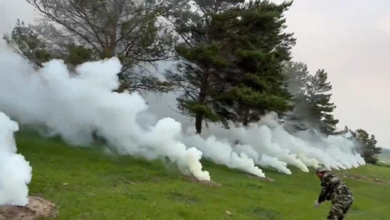 從“被動除治”到“主動防控” 三位一體防控體系讓病蟲害防治更精準——內蒙古紅花爾基樟子松林國家級自然保護區2025年度病蟲害防治工作紀實