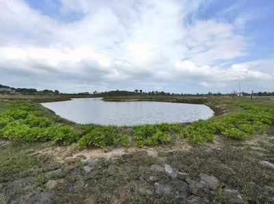 2024年海南省自然資源和規劃工作答卷 自然生態系統保護管理成效顯著