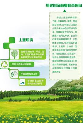 命運共同體與生態共贏鏈 自然生態系統保護管理之路