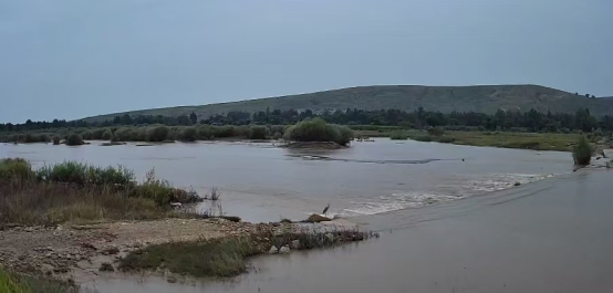 和林格爾縣雨后濕地專項巡查守護自然生態和諧