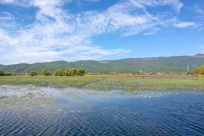 守護(hù)高原明珠 云南拉市海國際重要濕地的生態(tài)價(jià)值與保護(hù)實(shí)踐