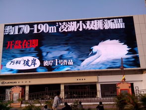 深圳香蜜湖日亞戶外LED顯示屏 220平方米的視覺(jué)巨幕引領(lǐng)城市新風(fēng)尚